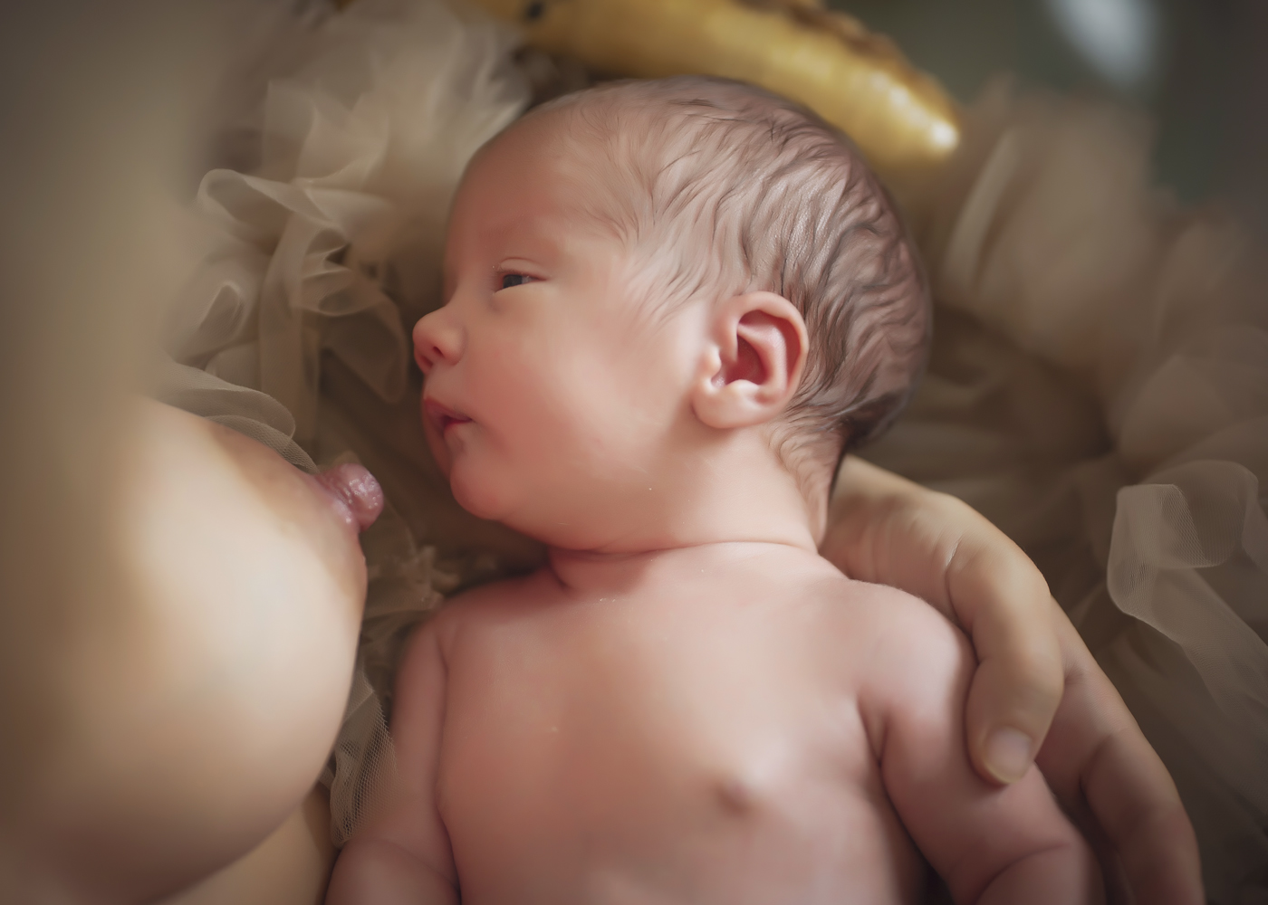 New Born Newborn Recién Nacido Bebé Bebés Fotos Bien Chulas Logroño Nájera La Rioja