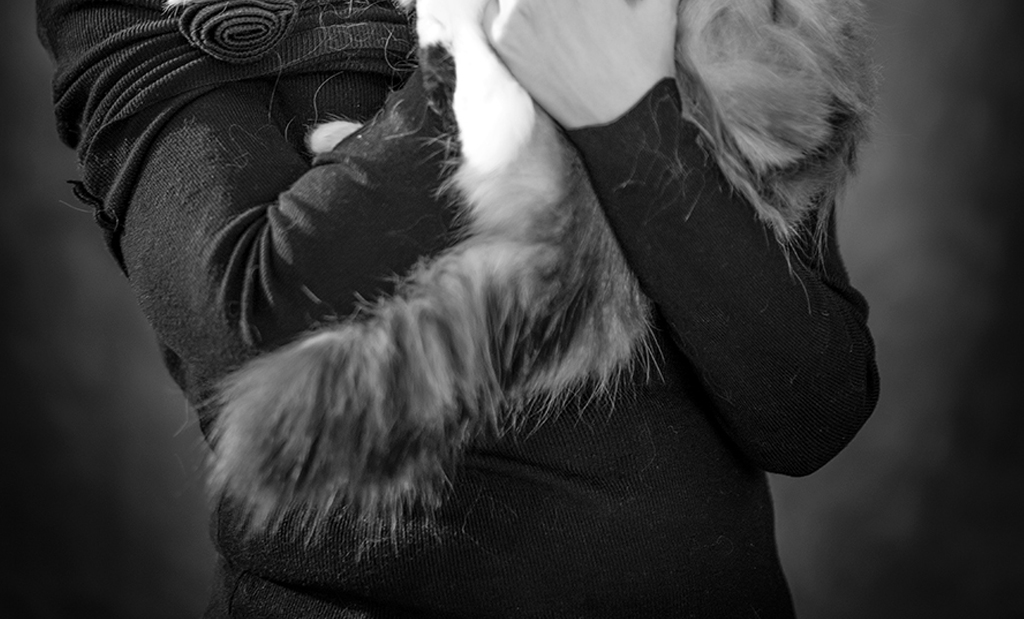 Fotografía de mascotas en La Rioja sesión multiespecie gato y familia