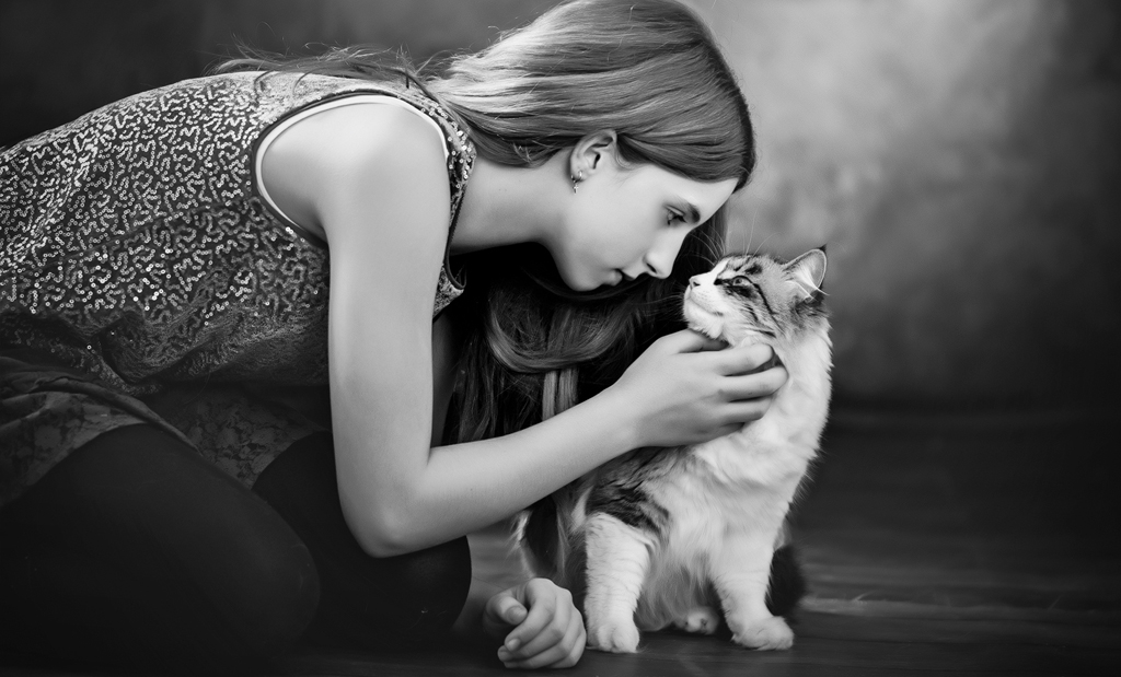 Fotografía de mascotas en La Rioja sesión multiespecie gato y familia